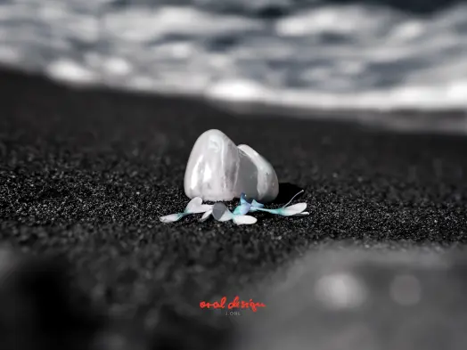 樹脂修復 vs 貼片:哪種更適合您?