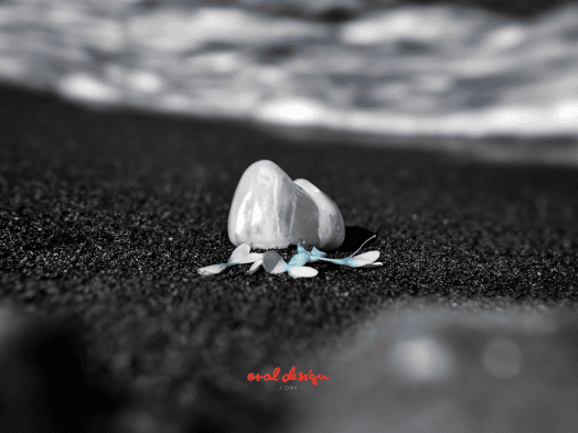 Composite Bonding vs. Veneers — Which Treatment Is Appropriate for You?