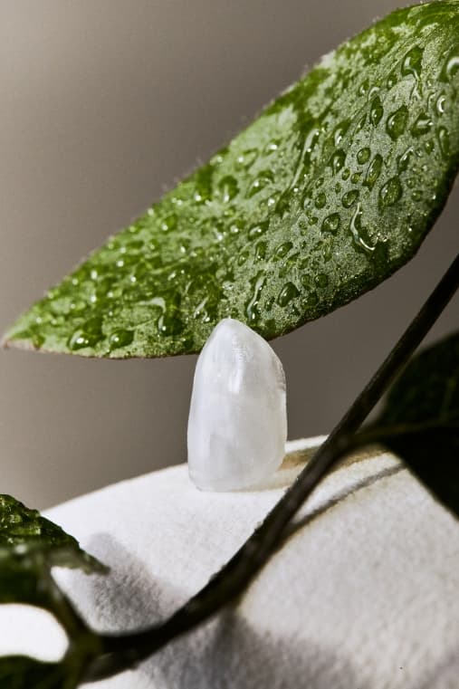 Why Tooth Shade and Translucency Matter in Natural Aesthetic Dentistry